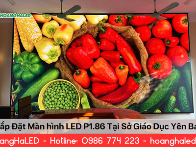 Lắp Đặt Màn Hình LED P1.86 Tại Sở Giáo Dục Yên Bái 0