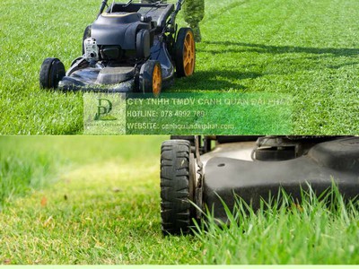 Dịch vụ bảo trì cảnh quan Đồng Nai 078 4992 789 0