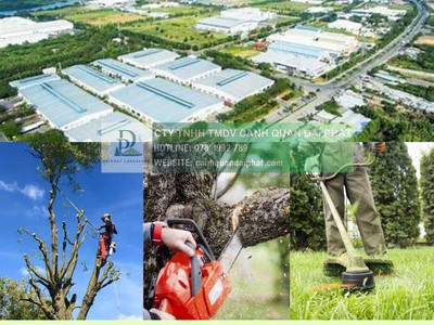 Dịch vụ bảo trì cảnh quan Đồng Nai 078 4992 789 1