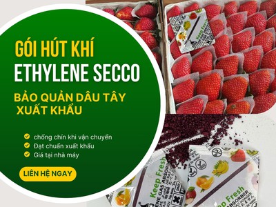 Gói hút khí Ethylene Secco 5g - giải pháp vàng cho trái cây 1