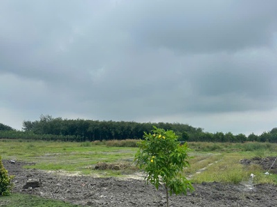 Bán đất 215m2 tại đường 8, Minh Hưng, Chơn Thành, Bình Phước, giá siêu hời 575 triệu 3