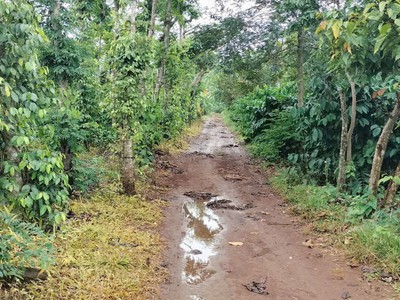 Đất đẹp- giá tốt cần bán nhanh lô đất tại krong ana tỉnh đăk lăk 2