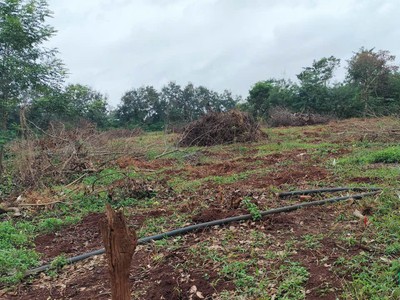 Đất đẹp- giá tốt cần bán nhanh lô đất tại krong ana tỉnh đăk lăk 4