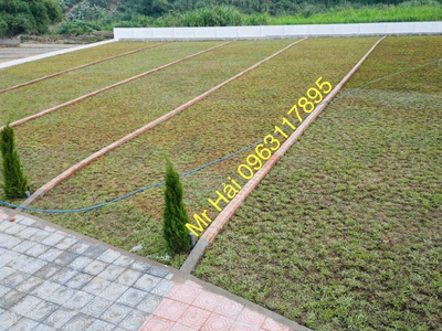 ĐẤT ĐẸP CƯ YÊN giá đầu tư f0 2