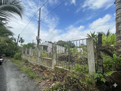 H1740 đất nhị bình 15 hóc môn, shr, vuông, hxt, 13.2x82m, 14.x tỷ 1