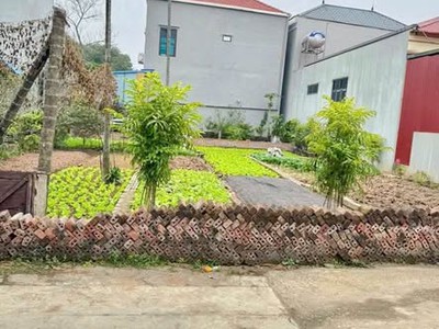 Muốn bán gấp 51.5m đất tích giang phúc thọ hà nội 0