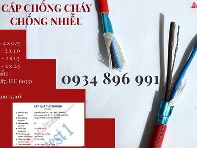 Cáp Chống Cháy Chống Nhiễu 2 Lõi Giao Ngay Quảng Bình, Quảng Nam, Quảng Ngãi. 1