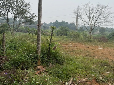 Sở hữu ngay lô đất đẹp - giá tốt - vị trí đắc địa tại xã yên bài, huyện ba vì, tphn 2