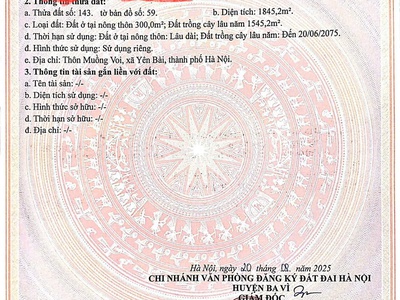 Sở hữu ngay lô đất đẹp - giá tốt - vị trí đắc địa tại xã yên bài, huyện ba vì, tphn 3