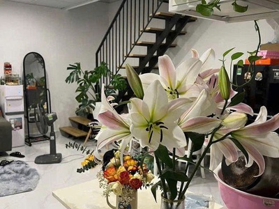 : nhà đẹp mới - sân ô tô - gần chợ hà đông . bán nhà nguyễn trãi, hà đông. 0