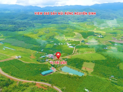 Đất nền vùng ven bảo lộc - lâm đồng, giáp suối view thiên nhiên 4