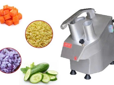 Máy hút chân không DZQ500 - inox 0