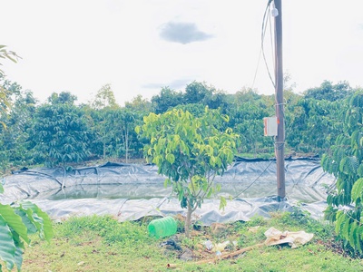 Hơn 9 sào sổ sẵn 8,5 sào, full cafe thuộc ninh gia, lâm đồng 0