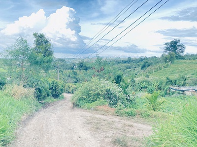 Hơn 9 sào sổ sẵn 8,5 sào, full cafe thuộc ninh gia, lâm đồng 5