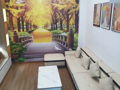 Bán NHÀ 4 Tầng mặt Ngõ Phố Nguyễn Thị Duệ Thông Sang Ngô Quyền TP HẢI DƯƠNG CŨ - TP HẢI PHÒNG MỚI 0