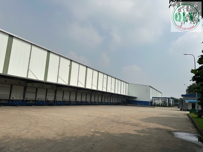 Cho thuê kho quy mô lớn 13.500m 0