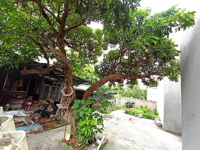 Bán đất hai mặt tiền trước sau, dương quang, gia lâm. cách 1 nhà ra ô tô. 0