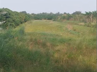 Bán đất nông nghiệp 4678m2 đường tám sáng, tân phú trung, đt. sổ hồng, giá 1.5 tỷ. 0