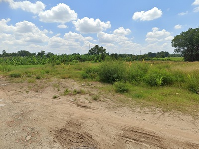 H1752  đất thạnh xuân 52 hóc môn, shr, hxt, 41x55m, 14.x tỷ 0