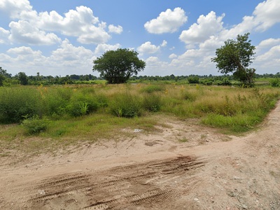 H1752  đất thạnh xuân 52 hóc môn, shr, hxt, 41x55m, 14.x tỷ 1