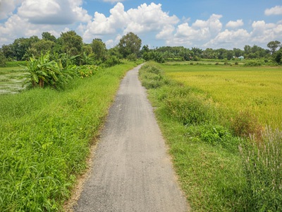 H1752  đất thạnh xuân 52 hóc môn, shr, hxt, 41x55m, 14.x tỷ 2