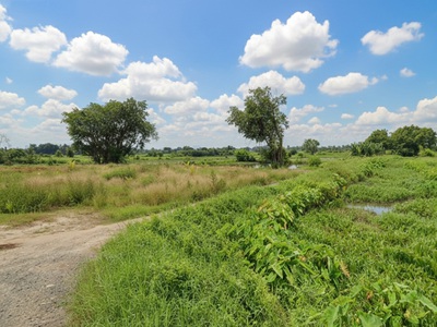 T1753 đất thạnh xuân 52 hóc môn, shr, hxt, 55x51m, 16.x tỷ 1