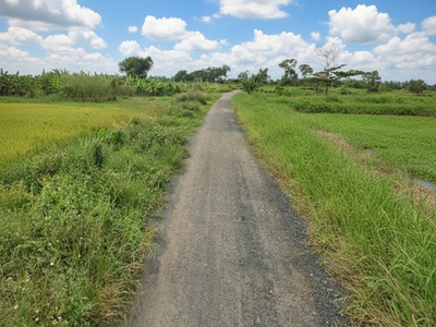 T1753 đất thạnh xuân 52 hóc môn, shr, hxt, 55x51m, 16.x tỷ 2