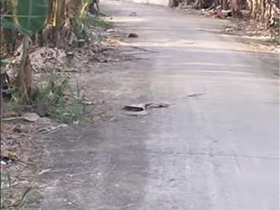 Bán đất nông nghiệp 4678m2 sổ hồng mt 5m đường tám sáng, tân bình, châu thành, đồng tháp. giá 1.5 1