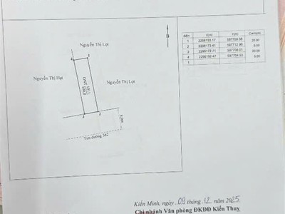 Mặt đường 362 minh tân kiến thuỵ 100m ngang 5m trục chính kinh doanh giá chỉ 4.x tỷ zalo 3