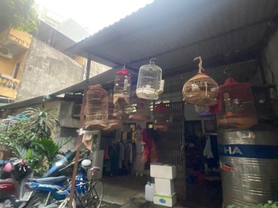 Đất đẹp gần mặt phố nguyễn sơn   mặt tiền 15m hiếm diện tích 236m    trung tâm long biên   giá 48,9 2