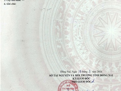 Chính chủ bán  dãy trọ gần 70 căn thu nhập 100 triệu / tháng 4