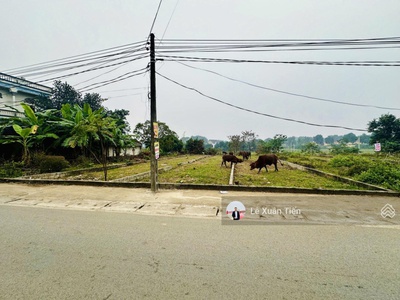 Siêu phẩm trục chính đồng trạng, đoài phương dt 185m2, mặt tiền 5m, đường 10m. chỉ hơn 20tr/m2 4