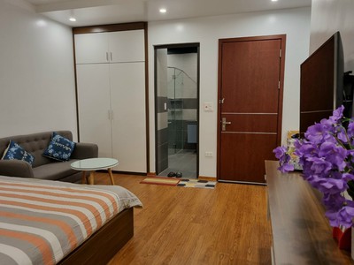 Cho thuê căn hộ 1 ngủ giá chỉ 6tr tại KĐT Waterfront 1