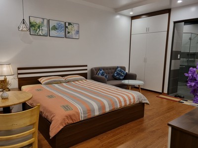 Cho thuê căn hộ 1 ngủ giá chỉ 6tr tại KĐT Waterfront 2