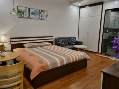 Cho thuê căn hộ 1 ngủ giá chỉ 6tr tại KĐT Waterfront 6