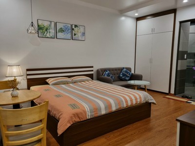 Cho thuê căn hộ 1 ngủ giá chỉ 6tr tại KĐT Waterfront 7