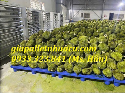  Bán Pallet Nhựa Kê Gạo   Lương Thực Giá Rẻ 2025  0