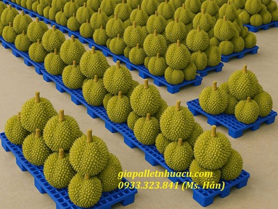  Bán Pallet Nhựa Kê Gạo   Lương Thực Giá Rẻ 2025  1