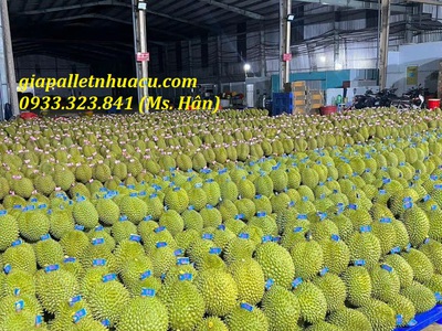  Bán Pallet Nhựa Kê Gạo   Lương Thực Giá Rẻ 2025  3