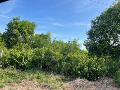 Bán 20m x 50m đất odt đường lý nam đế - tân phước - lagi giá rẻ 250tr/m ngang 1