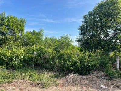 Bán 20m x 50m đất odt đường lý nam đế - tân phước - lagi giá rẻ 250tr/m ngang 4