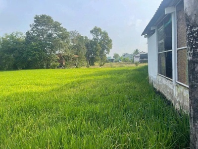 Tôi chính chủ bán đất lô đất xã cần đước, tỉnh tây ninh. 0