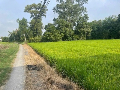 Tôi chính chủ bán đất lô đất xã cần đước, tỉnh tây ninh. 2