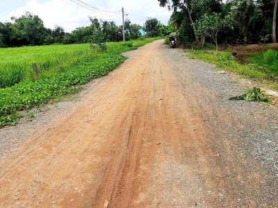 Bán 2000m2 đất lúa khu vực chuyển thổ , thích hợp phân lô 1