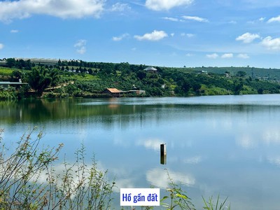 Phúc thọ-lâm hà dt 1000m2 sẵn 100m2 thổ cư đất mặt tiền bê tông kdc đông view hồ mát mẻ chỉ 699tr 3