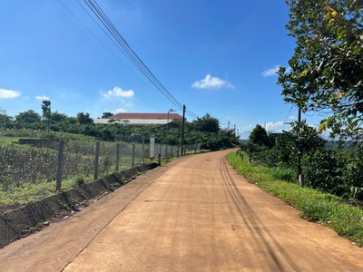 Phúc thọ-lâm hà dt 1000m2 sẵn 100m2 thổ cư đất mặt tiền bê tông kdc đông view hồ mát mẻ chỉ 699tr 1