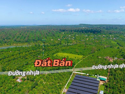 Ea tul- cư mgar dt 6991m2 2 mặt tiền đất nhựa giáp đường 130m đất full cà phê, sầu riêng tiêu cho 2