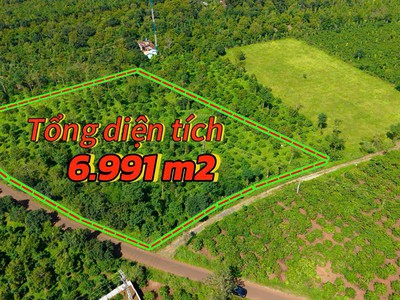 Ea tul- cư mgar dt 6991m2 2 mặt tiền đất nhựa giáp đường 130m đất full cà phê, sầu riêng tiêu cho 1