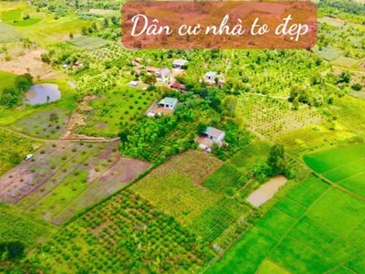 Buôn hồ- đắk lắk dt hơn 5oom2 full vườn vải cần tiền gấp bán 129tr hết đất 1