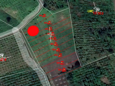 Buôn hồ- đắk lắk dt hơn 5oom2 full vườn vải cần tiền gấp bán 129tr hết đất 2